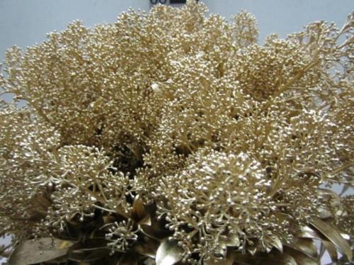 Skimmia per bos overig kleurbehandeld H%