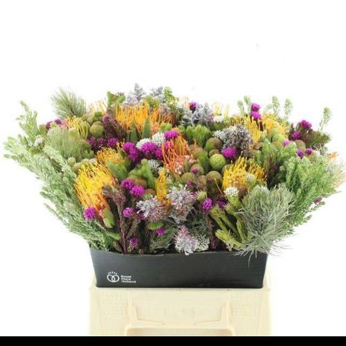 Allerheiligenboeket per bos