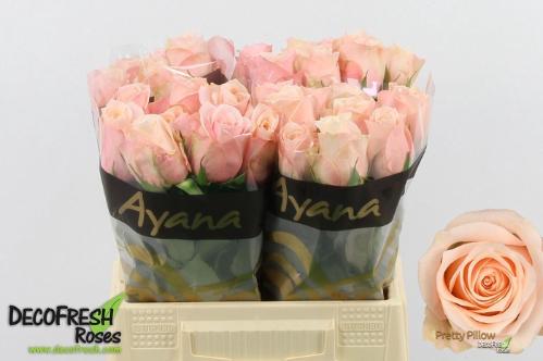 Rosa grootbloemig Pretty Pillow