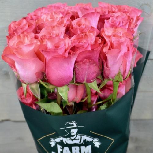 Rosa grootbloemig overig