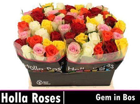 Rosa grootbloemig gemengd in bos