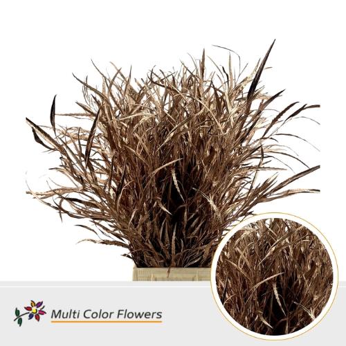 Decoratiegroen kleurbehandeld per bos H%