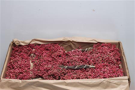 Decoratiegroen overig