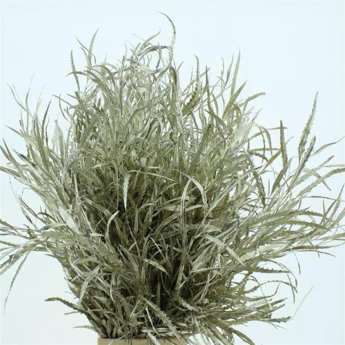 Decoratiegroen kleurbehandeld per bos H%