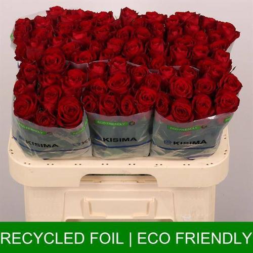 Rosa grootbloemig Madam Red