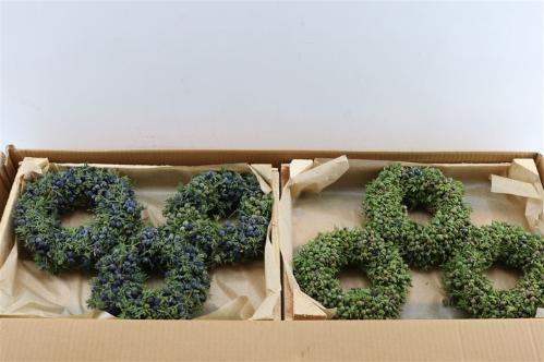 Siervruchten per stuk Sierfruit krans H%