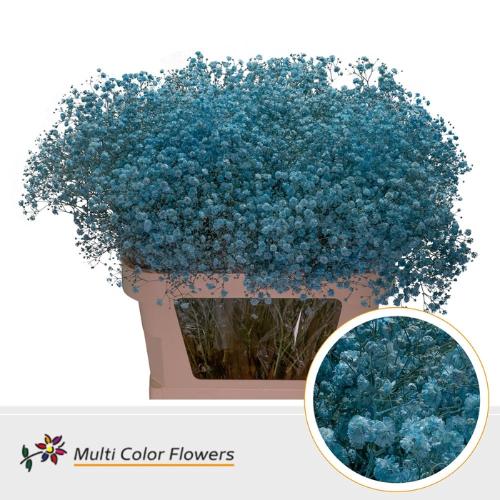 Gypsophila overig kleurbehandeld H%