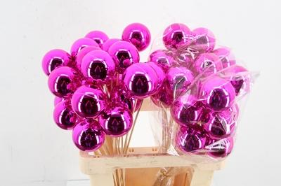 Huis en tuindecoratie overig H%