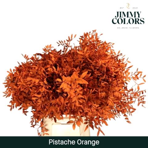 Pistacia kleurbehandeld H%