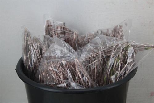 Kerstartikelen per stuk overig H%