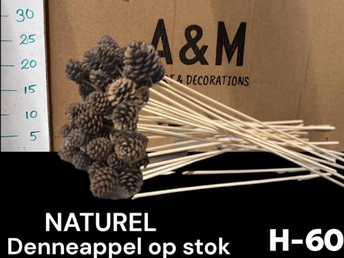 Dennenappel groot op stok H%