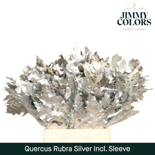 Quercus rubra kleurbehandeld H%