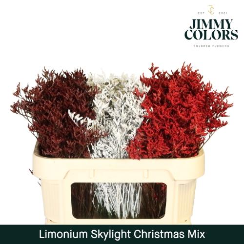 Limonium overig kleurbehandeld H%