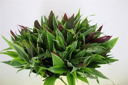 Decoratiegroen overig per bos