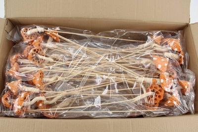 Huis en tuindecoratie overig H%