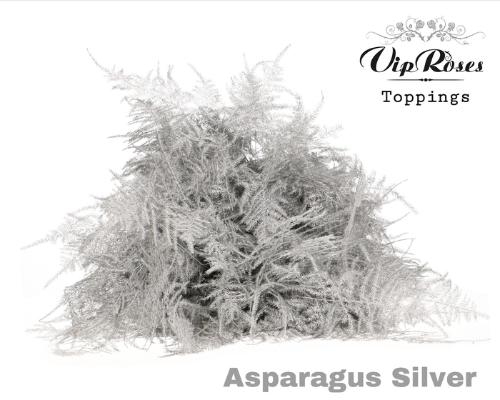 Asparagus overig kleurbehandeld H%