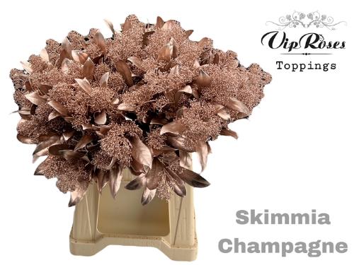 Skimmia per bos overig kleurbehandeld H%