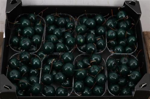 Wax appel H%
