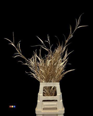 Decoratiegroen kleurbehandeld per bos H%