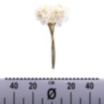 e70626c7-e7d0-41a1-9995-e896f351252e.webp