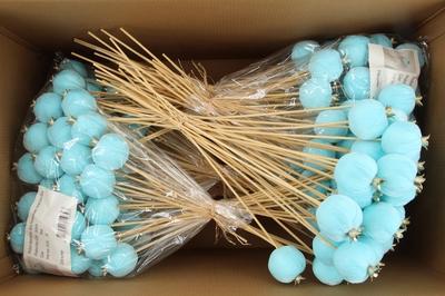 Huis en tuindecoratie overig H%