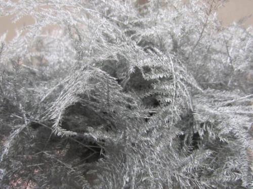 Asparagus overig kleurbehandeld H%