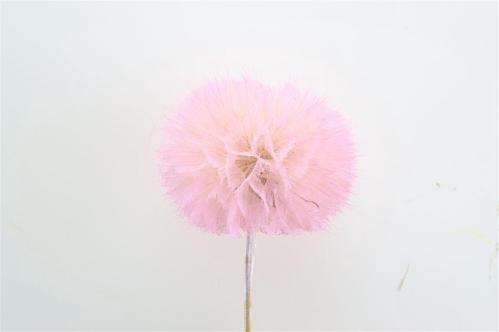 Decoratiegroen kleurbehandeld per bos H%