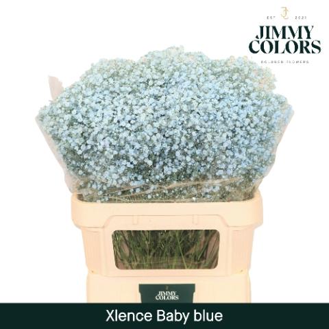 Gypsophila overig kleurbehandeld H%