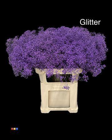 Gypsophila overig kleurbehandeld H%