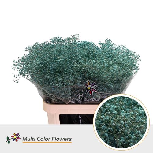 Gypsophila overig kleurbehandeld H%
