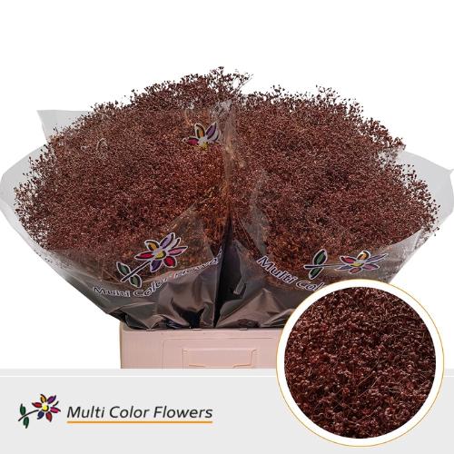 Gypsophila overig kleurbehandeld H%