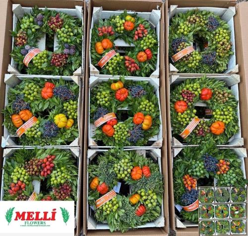 Siervruchten per stuk Sierfruit krans H%