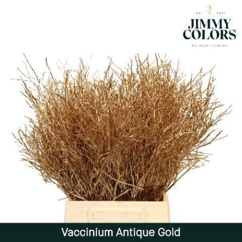 Vaccinium kleurbehandeld H%