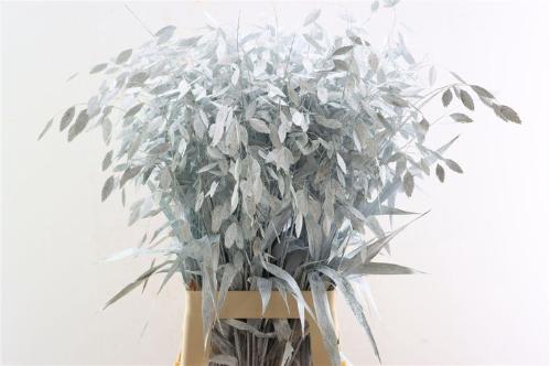 Snijbloemen overig kleurbehandeld H%