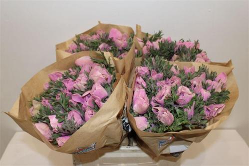 Snijbloemen overig kleurbehandeld H%