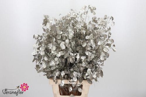 Snijbloemen overig kleurbehandeld H%