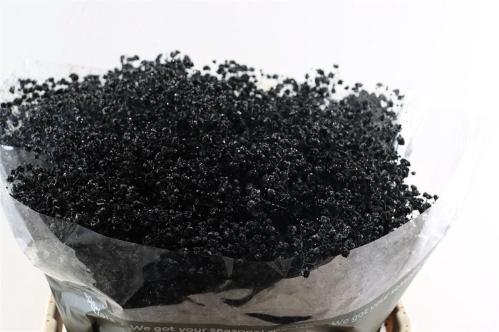 Gypsophila overig kleurbehandeld H%