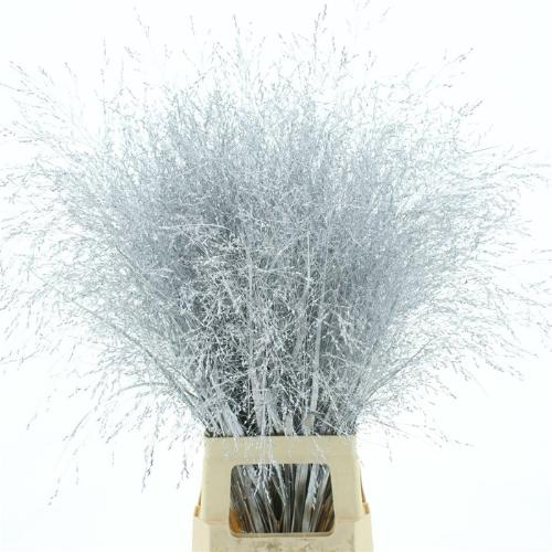 Siergras kleurbehandeld H%