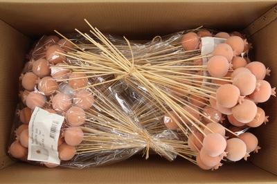 Huis en tuindecoratie overig H%