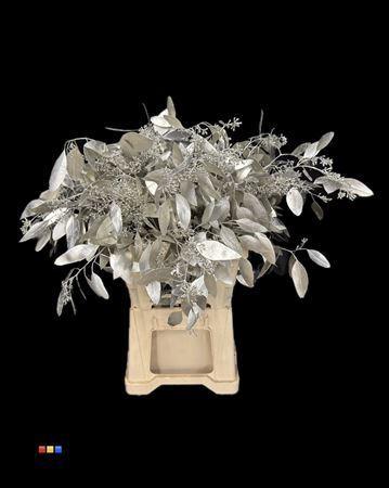 Eucalyptus cinerea kleurbehandeld per bos H%