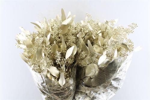 Eucalyptus kleurbehandeld per bos H%