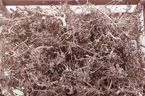 Huis en tuindecoratie overig H%