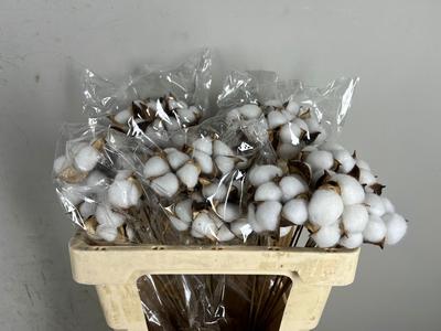 Huis en tuindecoratie overig H%