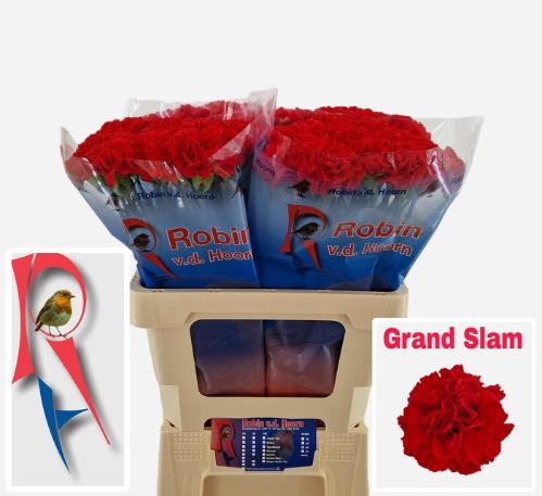 Dianthus standaard Grand Slam