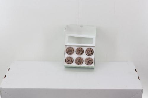 Rosa grootbloemig kleurbehandeld H%