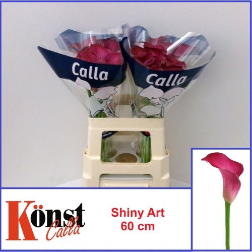 Zantedeschia Shiny Art