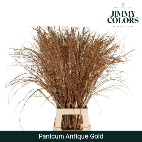 Siergras kleurbehandeld H%