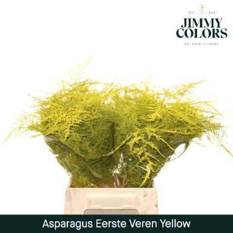 Asparagus overig kleurbehandeld H%