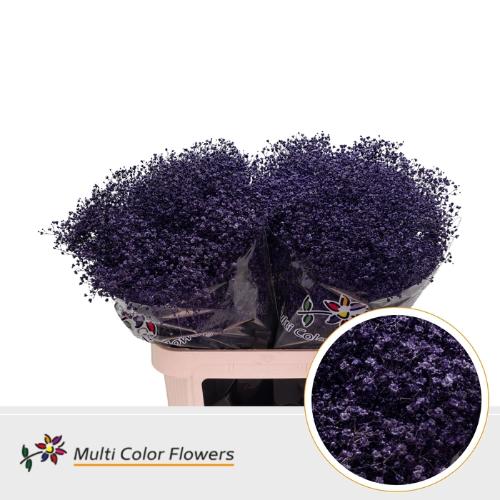 Gypsophila overig kleurbehandeld H%