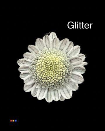 Chrysanthemum Indicum Grp tros kas kleurbehandeld H%